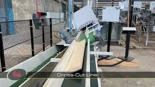Cross-Cut Line including quality scanner,  saw and three automatic stackers - Opti-Solution (1438)
