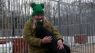 Schronisko dla Bezdomnych Zwierząt w Celestynowie