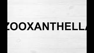 How To Pronounce Zooxanthellae
