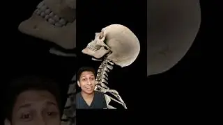 SCP 173 - The Sculpture "මූර්තිය"