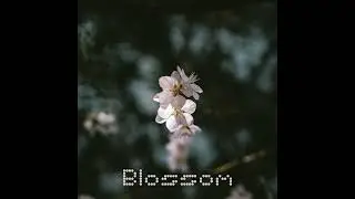 Spring LoFi ''Raindrops'' study/relax to