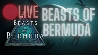 Beasts of Bermuda - Live