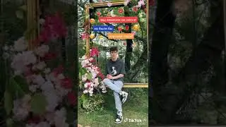 Артур Бабич в TikTok #shorts