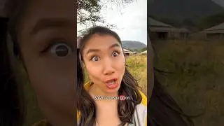 BABY SHU TAKES HER DAD ON AN “INTERACTIVE” SAFARI