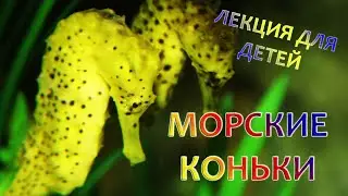 Лекция для детей 5+ 