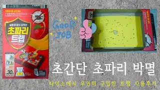 초간단 초파리 박멸 / 다이소 초파리트랩 사용후기