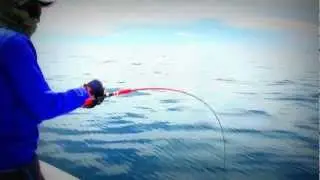 7Seas Boat Light Jigging Game Pattaya [18/07/2012]