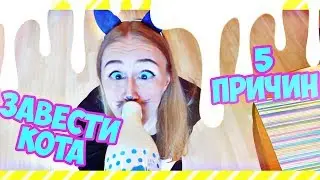 Что, Если бы КОТ был Человеком? или 5 ПРИЧИН завести КОТА! #ГБИЮ6