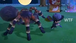 Best Animal Crossing New Horizons Clips 