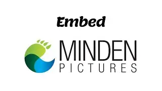 Embed Minden Pictures in HTML
