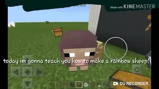 How to make a RAINBOW sheep!🌈