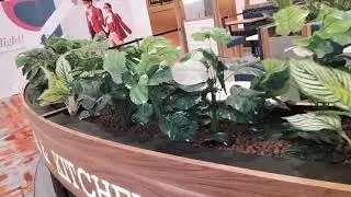 Malaysia airport