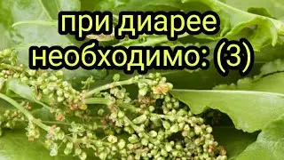При диарее необходимо:3 Как лечить диарею (понос) Лекарственные травы и растения. Народная медицина.