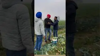 ਗੋਭੀ ਦੇ ਰੇਟ ਤੇ ਲੜਾਈ 😂 | ਅਸੀਂ ਨੰਗ ਆ ? #navdeepsidhu @navdeepsidhu