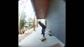 Cat wants FedEx man to pet him.