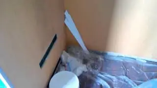 Покраска флизелиновых обоев под покраску