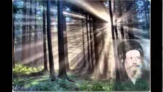 Baal HaSulam - Tzadik Ke Tamar Ifrach