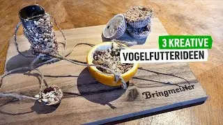 3 kreative Vogelfutter Ideen 🐦‍⬛