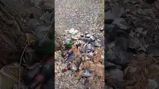 Где живут такие люди?