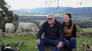 Big Tree Commemorative Gin Story