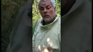 Настало время собирать 