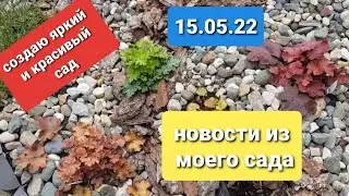 Создаю красивый сад/Новые посадки в миксбордерах/Холодно, цветы в теплицах