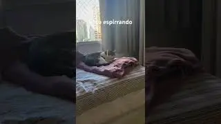 12 de junho de 2024