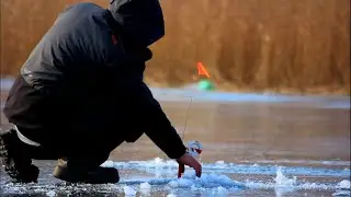 ЗАЧЁТНАЯ ТАРАНЬ  Зимняя Рыбалка в Палатке БАТОНЫ АТАКУЮТ ЩУКА ОКУНЬ КАРАСЬ