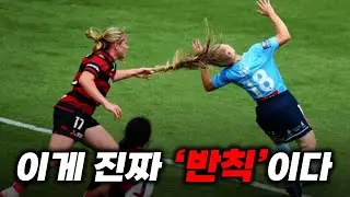 할거면 제대로 해라