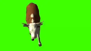 COW Walking And Running Green Screen Viral Video