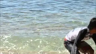 Wave Gensan Trailer