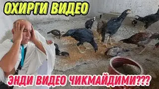 МАКСАД САРИ ХОНОДОНИДА СУНГИ ВИДЕО...(ОХУНОВ ТВ)