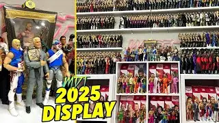 MASSIVE WWE Action Figure Display 2025!