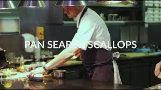 Pan Seared Scallops | Plate Restaurant and Bar | M by Montcalm