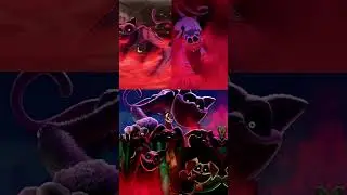Catnap edit
