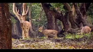 Come, Visit our home - Karnataka!