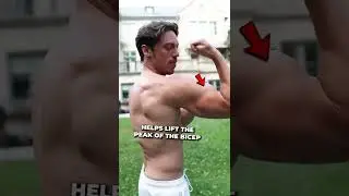 Best Chin Up Variation For Huge Biceps: The Commando Chin Up