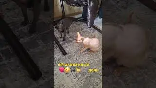 Яша💙Марс#