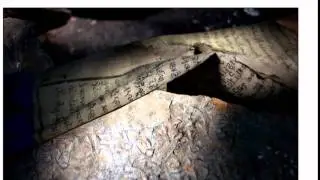 beauty of the nature.mp4