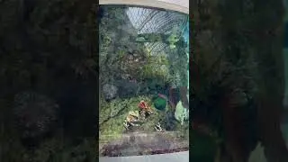 В Авиапарке