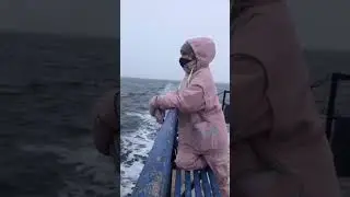 Даша