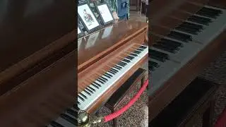 Дом купцов Елисеевых