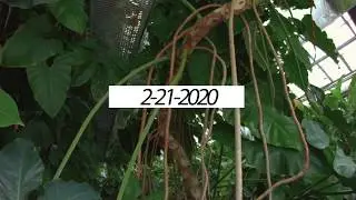 2/21/20