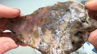 Slab to Cab - West Texas Fine Moss Agate