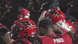 Local Sharks Living the Dream