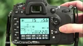 Fotografieren mit der Nikon D600: Ein Video-Tutorial