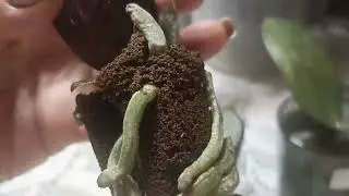 596.#5 ноября приехали парфюмерные фабрики из Орхорая по вкусной цене👍👍👍