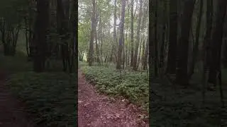 Тихо, хорошо, спокойно