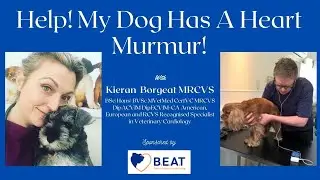 Help! My Dog Has A Heart Murmur!