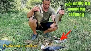 РИБАЛКА НА РІЧЦІ З НОЧІВЛЕЮ / Ловля Ляща На Фідер / Дуже Багато РИБИ!